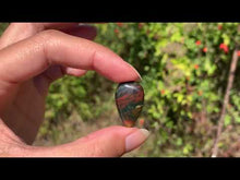 Charger et lire la vidéo dans la visionneuse de la Galerie, Jaspe héliotrope 28