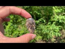 Charger et lire la vidéo dans la visionneuse de la Galerie, Jaspe à turritelles 23