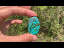 Charger et lire la vidéo dans la visionneuse de la Galerie, Chrysocolle 3