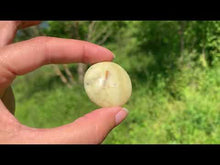 Charger et lire la vidéo dans la visionneuse de la Galerie, Jaspe vert 5