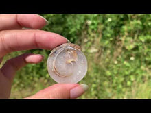 Charger et lire la vidéo dans la visionneuse de la Galerie, Ammonite 35