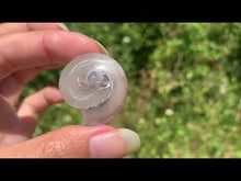 Charger et lire la vidéo dans la visionneuse de la Galerie, Ammonite 28