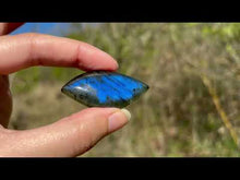 Charger et lire la vidéo dans la visionneuse de la Galerie, Labradorite 339