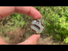 Charger et lire la vidéo dans la visionneuse de la Galerie, Agate du Montana 11