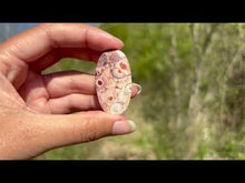 Charger et lire la vidéo dans la visionneuse de la Galerie, Jaspe oeil d'oiseau 8