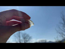 Charger et lire la vidéo dans la visionneuse de la Galerie, Quartz à Actinolite 4