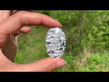 Charger et lire la vidéo dans la visionneuse de la Galerie, Pinolite 19