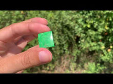 Charger et lire la vidéo dans la visionneuse de la Galerie, Maw-Sit-Sit 3