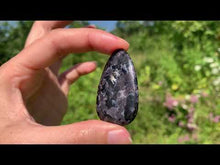 Charger et lire la vidéo dans la visionneuse de la Galerie, Gabbro 3