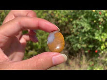 Charger et lire la vidéo dans la visionneuse de la Galerie, Jaspe héliotrope 26