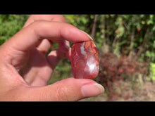 Charger et lire la vidéo dans la visionneuse de la Galerie, Agate Crazy Lace 30