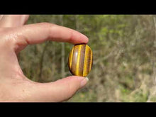 Charger et lire la vidéo dans la visionneuse de la Galerie, Oeil de tigre 65