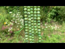 Charger et lire la vidéo dans la visionneuse de la Galerie, Perles en serpentine entre 4 et 8mm