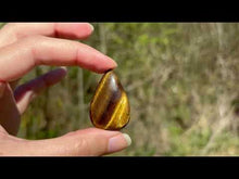 Charger et lire la vidéo dans la visionneuse de la Galerie, Oeil de tigre 71