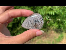 Charger et lire la vidéo dans la visionneuse de la Galerie, Agate sagénitique 20