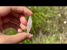 Charger et lire la vidéo dans la visionneuse de la Galerie, Quartz rose 42