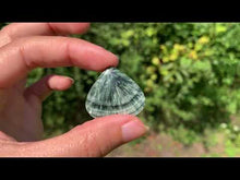 Charger et lire la vidéo dans la visionneuse de la Galerie, Séraphinite 41