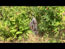 Charger et lire la vidéo dans la visionneuse de la Galerie, Bélière classique longue (argentée, dorée, rosée)