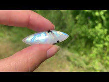 Charger et lire la vidéo dans la visionneuse de la Galerie, Labradorite "blanche" d'Inde 27