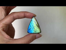 Charger et lire la vidéo dans la visionneuse de la Galerie, Labradorite 217