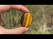 Charger et lire la vidéo dans la visionneuse de la Galerie, Oeil de tigre 74