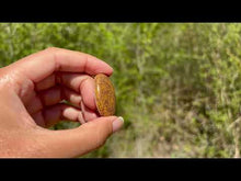 Charger et lire la vidéo dans la visionneuse de la Galerie, Jaspe Mariam 21