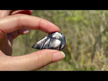 Charger et lire la vidéo dans la visionneuse de la Galerie, Hypersthène 38