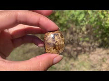 Charger et lire la vidéo dans la visionneuse de la Galerie, Bronzite 25