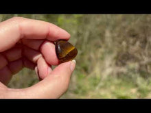 Charger et lire la vidéo dans la visionneuse de la Galerie, Oeil de tigre 80