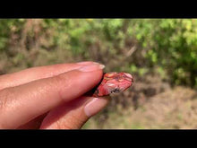 Charger et lire la vidéo dans la visionneuse de la Galerie, VENDU Agate Crazy Lace 25