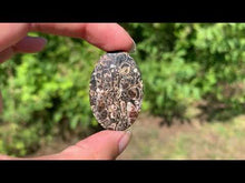 Charger et lire la vidéo dans la visionneuse de la Galerie, Jaspe à turritelles 24