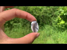 Charger et lire la vidéo dans la visionneuse de la Galerie, VENDU Agate dendritique 56