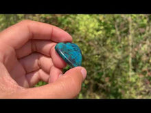 Charger et lire la vidéo dans la visionneuse de la Galerie, Chrysocolle 7