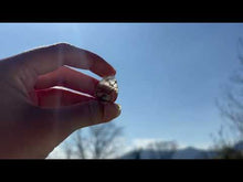 Charger et lire la vidéo dans la visionneuse de la Galerie, Quartz à Actinolite 5