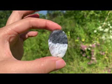 Charger et lire la vidéo dans la visionneuse de la Galerie, Agate dendritique 77