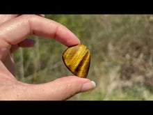 Charger et lire la vidéo dans la visionneuse de la Galerie, Oeil de tigre 78