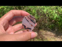 Charger et lire la vidéo dans la visionneuse de la Galerie, Agate du Montana 1