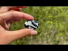 Charger et lire la vidéo dans la visionneuse de la Galerie, Jaspe Zebré 5