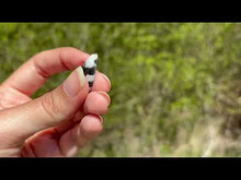 Charger et lire la vidéo dans la visionneuse de la Galerie, Jaspe Zebré 17