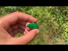 Charger et lire la vidéo dans la visionneuse de la Galerie, Maw-Sit-Sit 12