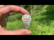 Charger et lire la vidéo dans la visionneuse de la Galerie, VENDU Abalone 54