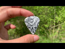 Charger et lire la vidéo dans la visionneuse de la Galerie, Pinolite 20