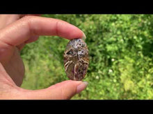 Charger et lire la vidéo dans la visionneuse de la Galerie, Agate sagénitique 28