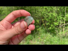 Charger et lire la vidéo dans la visionneuse de la Galerie, Préhnite 29