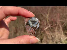 Charger et lire la vidéo dans la visionneuse de la Galerie, Vulcanite 8