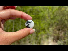 Charger et lire la vidéo dans la visionneuse de la Galerie, Jaspe Zebré 11