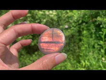 Charger et lire la vidéo dans la visionneuse de la Galerie, Labradorite 163