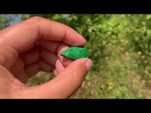 Charger et lire la vidéo dans la visionneuse de la Galerie, Maw-Sit-Sit 8