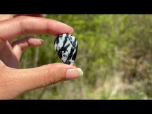 Charger et lire la vidéo dans la visionneuse de la Galerie, Jaspe Zebré 16