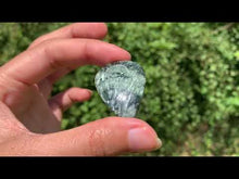 Charger et lire la vidéo dans la visionneuse de la Galerie, Séraphinite 28